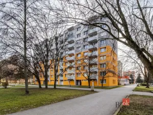 Prodej bytu 1+1, České Budějovice - České Budějovice 2, Vodňanská, 43 m2