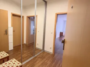 Pronájem bytu 1+kk, Olomouc, Wellnerova, 45 m2