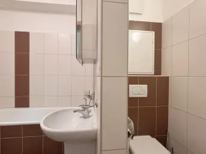 Pronájem bytu 1+kk, Olomouc, Wellnerova, 45 m2