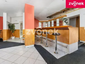 Prodej komerční nemovitosti, Zlín, Ševcovská, 267 m2