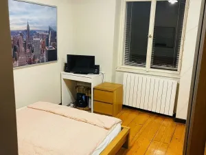 Pronájem pokoje, Praha - Vinohrady, Slavíkova, 13 m2