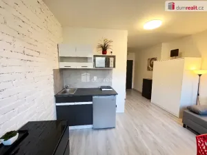 Pronájem bytu 1+kk, Kačice, K zahradě, 18 m2