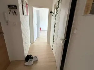 Prodej bytu 2+1, Most, Maxe Švabinského, 53 m2