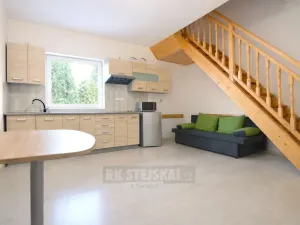 Pronájem rodinného domu, České Budějovice - České Budějovice 2, Husova tř., 52 m2