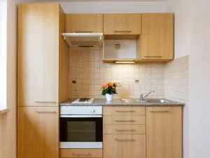 Prodej bytu 1+kk, Havířov - Podlesí, Šrámkova, 25 m2