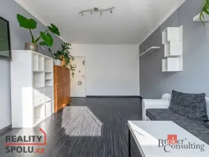 Prodej bytu 2+1, Plzeň - Severní Předměstí, Elišky Krásnohorské, 57 m2