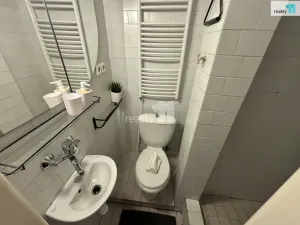 Pronájem bytu 1+kk, Praha - Žižkov, Biskupcova, 24 m2