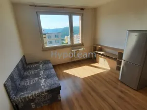 Pronájem bytu 1+kk, Ústí nad Labem - Ústí nad Labem-centrum, SNP, 20 m2