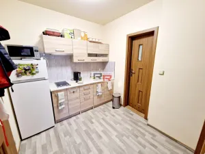 Pronájem pokoje, Olomouc, 8. května, 16 m2