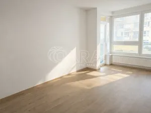 Pronájem bytu 2+kk, Praha - Vysočany, Pod Harfou, 52 m2