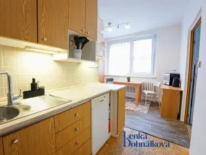 Pronájem bytu 2+1, Hodonín, Brandlova, 58 m2