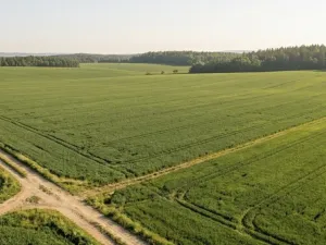 Prodej pole, Barchovice, 3780 m2