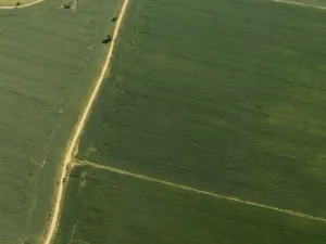 Prodej pole, Barchovice, 3780 m2