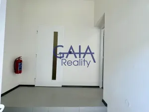 Pronájem bytu 1+kk, Veselí nad Moravou, Zámecká, 44 m2