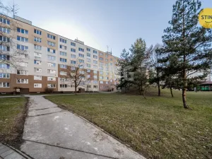 Prodej bytu 3+1, Ostrava, Aloise Gavlase, 68 m2