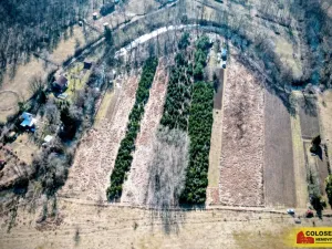 Prodej pole, Znojmo, 2970 m2