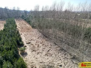 Prodej pole, Znojmo, 2970 m2