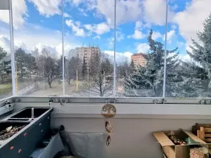 Prodej bytu 3+1, Jihlava, Okružní, 65 m2