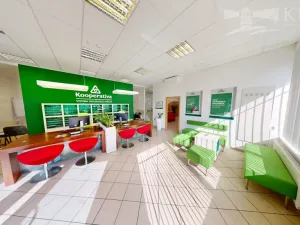 Pronájem obchodního prostoru, Příbram, Fibichova, 439 m2