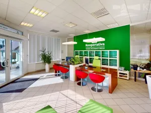 Pronájem obchodního prostoru, Příbram, Fibichova, 439 m2