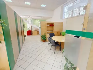 Pronájem obchodního prostoru, Příbram, Fibichova, 439 m2