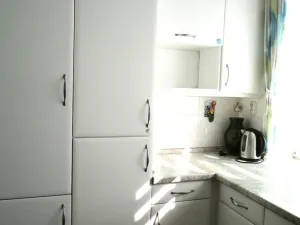 Prodej podílu 50/50 rodinného domu, Plzeň - Východní Předměstí, 160 m2