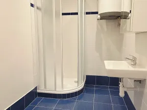 Pronájem bytu 2+1, Praha - Žižkov, Ambrožova, 82 m2