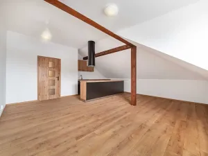 Pronájem bytu 1+1, Plzeň, Dvorní, 63 m2