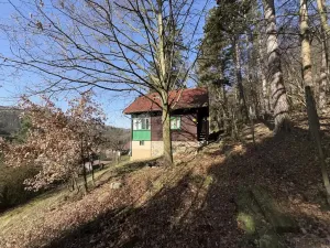 Prodej chaty, Kaliště, 54 m2