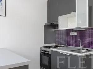 Prodej bytu 1+kk, Praha - Žižkov, Biskupcova, 28 m2