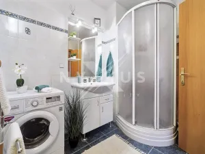 Prodej bytu 3+kk, Praha - Strašnice, U hranic, 118 m2