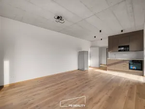 Pronájem bytu 1+kk, Plzeň, Kamenická, 34 m2