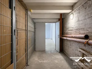 Pronájem skladu, Praha - Libeň, Braunerova, 50 m2