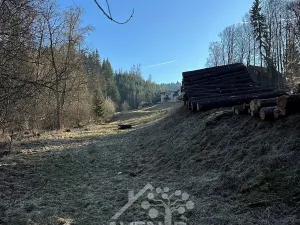 Prodej louky, Bozkov, 5815 m2