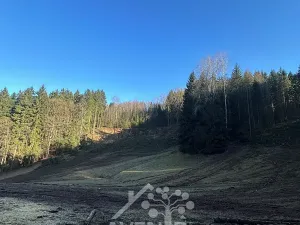 Prodej louky, Bozkov, 15029 m2