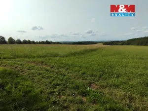 Pronájem chaty, Heřmanův Městec, Na Ježkovce, 387 m2