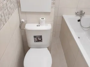 Prodej bytu 1+1, Krnov, Svatováclavská, 35 m2