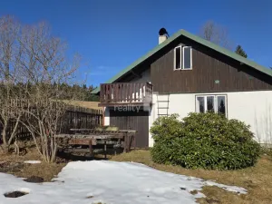 Prodej chalupy, Horní Blatná, Lesní, 1463 m2