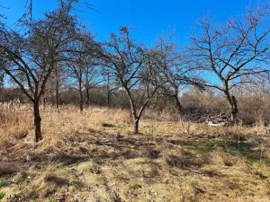 Pronájem zahrady, Smečno, Přelícká, 2508 m2