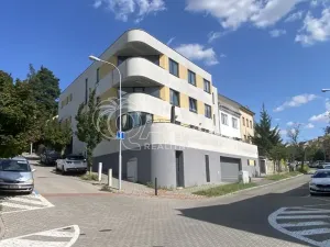 Pronájem bytu 2+kk, Brno, Hrozňatova, 72 m2