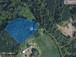 Prodej lesa, Semily - Bítouchov, 4773 m2