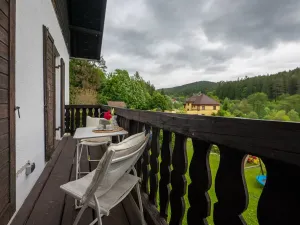 Prodej rodinného domu, Loučovice, 361 m2