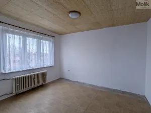 Prodej bytu 2+1, Bílina - Teplické Předměstí, M. Švabinského, 55 m2