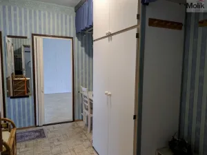 Prodej bytu 2+1, Bílina - Teplické Předměstí, M. Švabinského, 55 m2