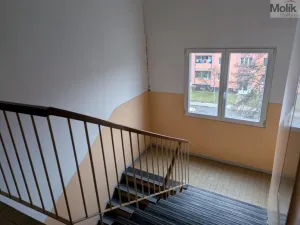 Prodej bytu 2+1, Bílina - Teplické Předměstí, M. Švabinského, 55 m2