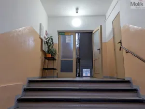 Prodej bytu 2+1, Bílina - Teplické Předměstí, M. Švabinského, 55 m2