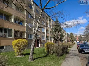 Prodej bytu 2+1, Bílina - Teplické Předměstí, M. Švabinského, 55 m2