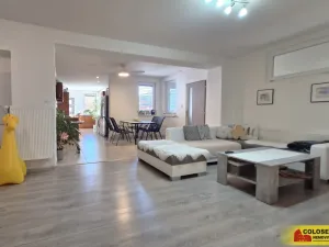 Prodej rodinného domu, Velké Bílovice, 365 m2