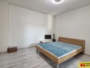 Prodej rodinného domu, Velké Bílovice, 365 m2