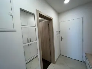 Pronájem bytu 1+kk, Praha - Vršovice, Petrohradská, 30 m2